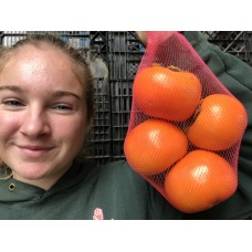 PERSIMMONS 1KG Bag 